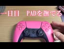 【Apex】ポリネシアンPEX