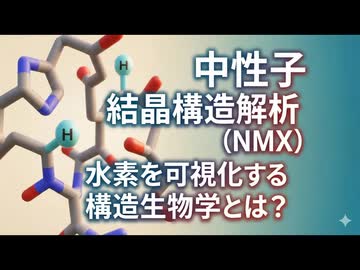 中性子結晶構造解析 (NMX)｜水素を可視化する構造生物学とは？