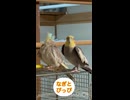 なぎの日常□