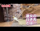【オカメハザード】身動きを完全に封じられた絶望の瞬間