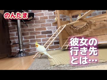 【オカメハザード】身動きを完全に封じられた絶望の瞬間
