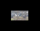 特急ソニック　通過シーン