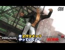 【DOA6LR発売まであと21日】ＤＯＡシリーズを全作全キャラやっていく！#81【DOA5LR ブラッドウォン】