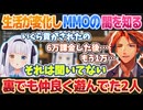 【ロベルないとめあ】MMORPGの深淵に触れてしまう夕刻ロベルと神楽めあ【夕刻ロベル/神楽めあ/切り抜き】