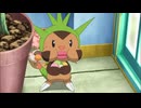 ポケットモンスターXY　第10話　ハリマロンＶＳメガメガニャース！！