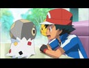 ポケットモンスターXY　第12話　ポケモンバイヤーを捕まえろ！コフーライ偽装作戦！！
