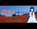 【VOICEROID旅行】天空のポピーを見に行く!!
