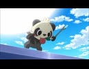 ポケットモンスターXY　第47話　セレナ、初ゲット！？ヤンチャムＶＳフォッコ！！