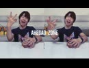 AheGao ZONE