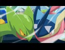ポケットモンスターXY　第132話　ライバル決戦！サトシゲッコウガVSメガジュカイン！！