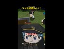 ベッドが欲しい #切り抜き