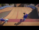 Skate_part8