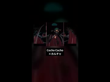 Cocho Cocho×カルチャ.Short【マッシュアップ】