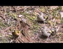 4月のいつもの奴等垂れ流し　その6