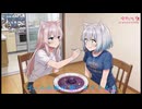 【オリジナル曲】私たちの物語 / フルMV【のらねこず / 二日ヨイ】