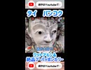 暁の寺ワットアルン＆絶品プーパッポンカリー #12