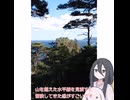 『みちのく潮風トレイル』歩いてきたPart3【中国うさぎ】