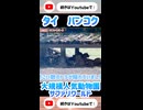 バンコクサファリワールドの猛獣たち #18
