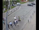 ホモと見る歩行者が横断中に飛び出す鹿