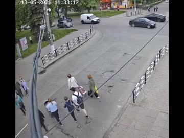 ホモと見る歩行者が横断中に飛び出す鹿