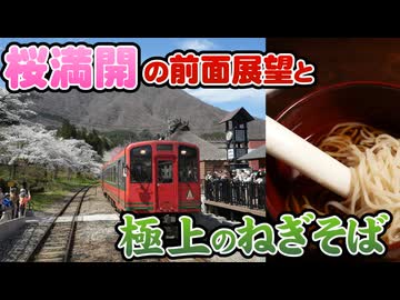 【極上の会津実況①】桜満開の湯野上温泉駅前面展望と有名店のわっぱめし！