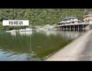 【ニコ生主のだぁナス】ブラックバスをクローワームで釣り上げる場面に出くわす