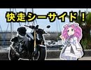 【伊豆ツーリング】海沿いから峠道へ！伊東マリンタウン＆伊豆のへそ大満喫旅【VOICEVOX車載】