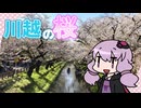 【第3回ナイスビュー投稿祭】川越の桜を見に行こう【VOICEROID旅行】
