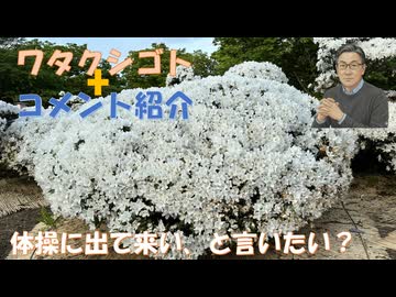 始業前、体操に出て来いといいたい？←社員からクレームが来るリスクがあるかも？←私事【アラ還・読書中毒】コメ：ヨモギがわずか16時間で98%の癌細胞を破壊！梅干も良いワク後遺症の方が良くなったとの話が！