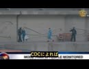 ハンタウイルス・クルーズ船危機：防げたはずの公衆衛生危機