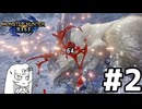 大剣最強の一撃を見よ！(雪)【MHRise】#2