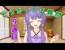 【9通目】結月ゆかりが　か な り  どうかしてるお手紙の質問に回答する【第六回10秒動画祭】