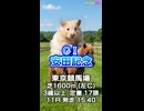 【馬番発表後2番目位に早い競馬予想】ＧⅠ #安田記念AIみかん予想担当はCocoんco.栽培マン.きのこ.の推奨馬3頭で好配当的中目指します《#競馬楽部LOVE》通算Vol.434