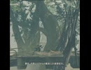 ニーアオートマタ Hエンド【a mountain too [H]igh】