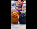 映画とポップコーン