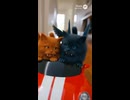 ディリノとネオマのドライブ