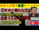①恐怖の北朝鮮「日本は楽しいな～」はい！逮捕！②金正恩「攻撃するための核兵器を開発していくぞ」マジで頭おかしい #北朝鮮