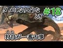 ＃18 狩技フィニッシュしないと進めないダブルクロス！【MHXX/NS】