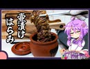 つぼ漬けハラミ【料理/VOICEROID】