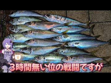 【VOICEROIDフィッシング・アジング＆唐戸市場】アジング＆唐戸市場潜入