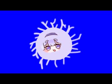 ヨミ胞子 BB