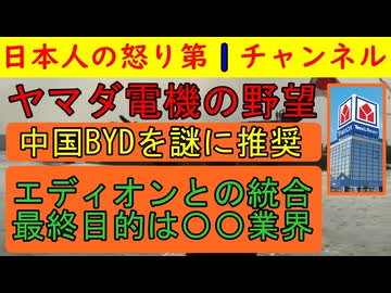 【ヤマダ電機の経営統合でなぜか報道されない裏目的】山田会長の究極目標は住宅業界で大きなシェアをとること/電気自動車はなぜか韓国車と中国車推し #ヤマダ電機