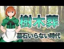 24 子どもに迷惑をかけたくない人が選ぶお墓の形｜樹木葬という選択