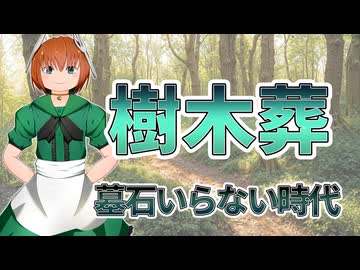 24 子どもに迷惑をかけたくない人が選ぶお墓の形｜樹木葬という選択