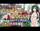 【カメラ初心者向け】花を綺麗に撮りたい！ずん子と学ぶ、究極の薔薇を撮影【VOICEROID解説】