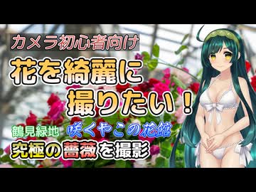 【カメラ初心者向け】花を綺麗に撮りたい！ずん子と学ぶ、究極の薔薇を撮影【VOICEROID解説】
