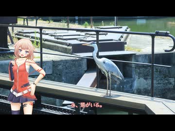 [新潟発]富山にある運河を見に行く[OИE車載]