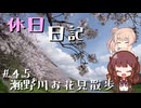 休日日記#45　瀬野川お花見散歩