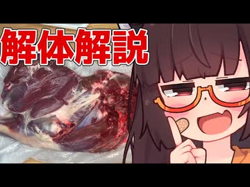 たまには真面目に鹿の足のばらし方解説しようじょん？【ももんじゃきりたん】