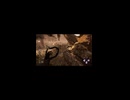 【ニコ生配信切り抜き】DBD ウェスカー